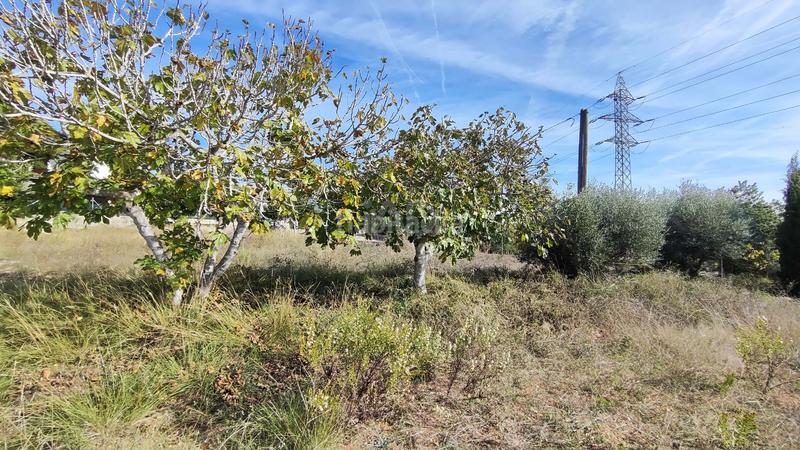 Foto beff6bc9-8d59-4cea-aa98-5774f57d646f. Finca rústica en Nord Vilanova i la Geltrú