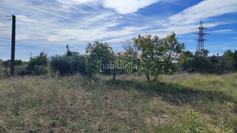 Foto e063026a-7231-4ac1-921d-c5891c7ace0f. Finca rústica en Nord Vilanova i la Geltrú