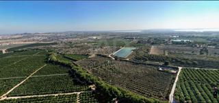 Terreno residenziale in Algorfa