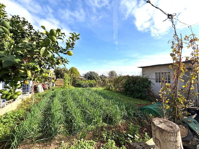 Foto d198b25c-19bb-466b-b4a9-3112466a2b33. Residential plot in Sant Jaume dels Domenys