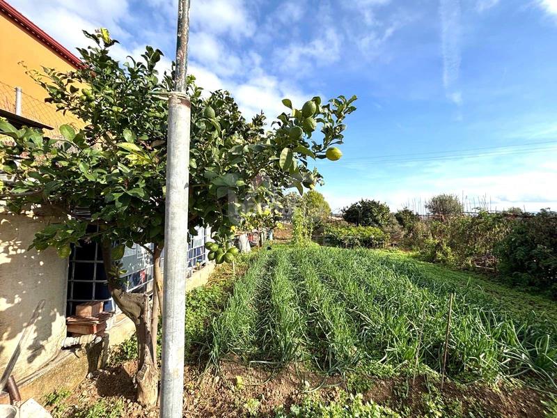 Foto 21e9ce79-ecd5-4f0f-8cb3-a8194d9c5e0c. Terreno residenziale in Sant Jaume dels Domenys