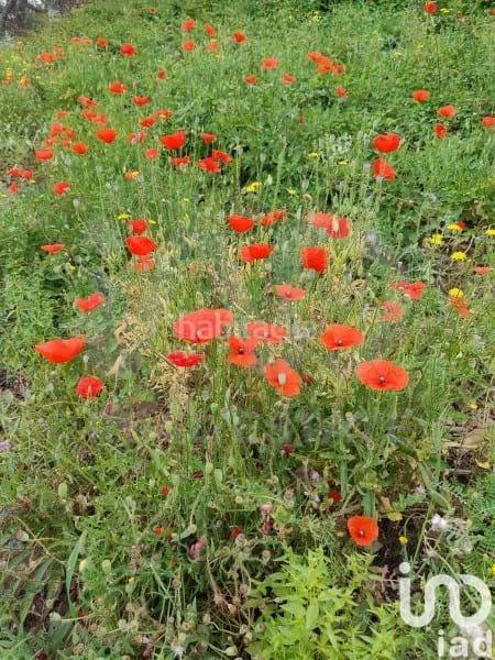 Foto ecb93aa1-8639-4566-8e36-92cf3ff498d0. Etagenwohnung in Montcada Centre - La Ribera Montcada i Reixac