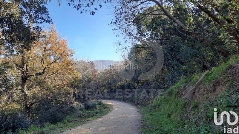 Foto 80bc1f04-c1e5-4a8f-96a6-11a57b58c5ad. Piso en Montcada Centre - La Ribera Montcada i Reixac