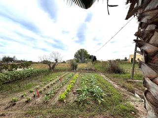 Residential Plot in Deltebre