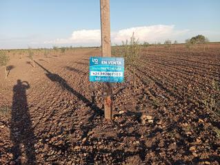 Finca rústica a CTRA CAÑADA -CAMPILLO KM