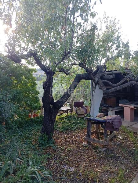 Foto 065577fd-03b4-4d47-8bf3-a22d7aa6f468. Finca rústica en Móra la Nova