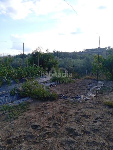 Foto 5490b81d-80f1-4b6c-895c-95dce4fa8ab7. Finca rústica en Móra la Nova