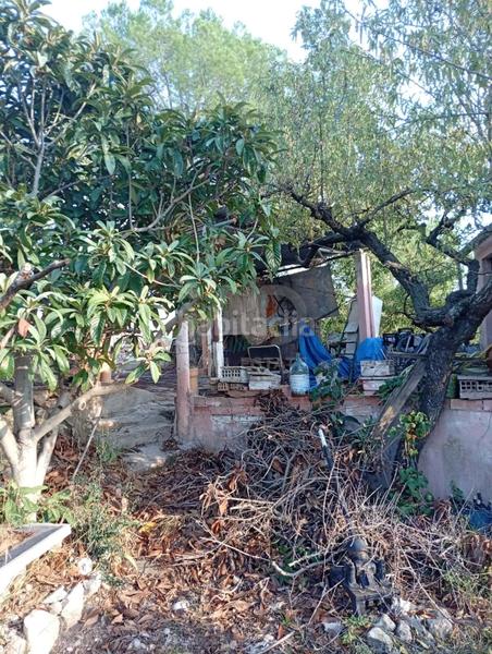 Foto 7a8b2ac9-986c-413d-9e9f-79f70fba0ac8. Finca rústica en Móra la Nova