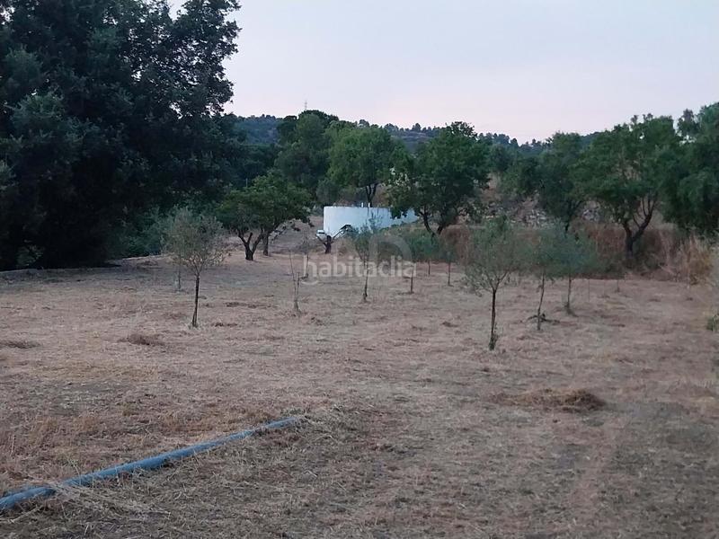 Foto 1aed6fe1-20aa-498a-afcf-54f07ec8bba2. Fondo rustico in Falset