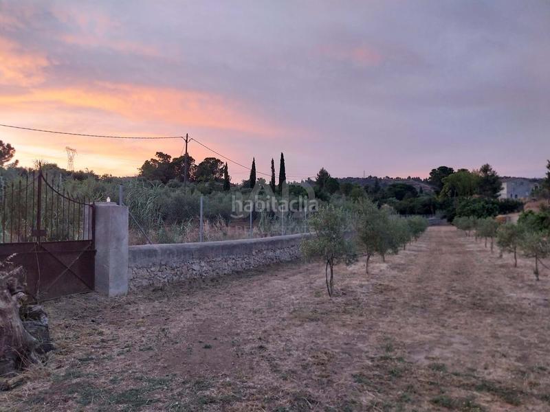 Foto 4cb387ce-9a09-454b-a2f0-7491e6ecb561. Fondo rustico in Falset