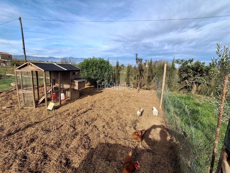 Foto c57ec0a6-f876-42b4-824c-2864fbe47767. Casa a carroba poligono 1 parcela 8 a Grau - Quintanes Amposta