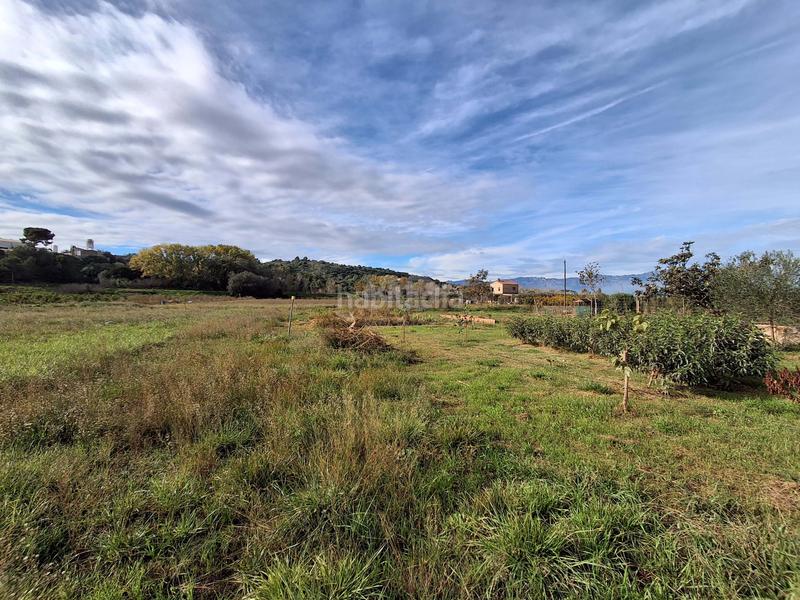 Foto 75df4023-92e2-46d0-9d2c-c672a31df03e. Haus in carroba poligono 1 parcela 8 in Grau - Quintanes Amposta