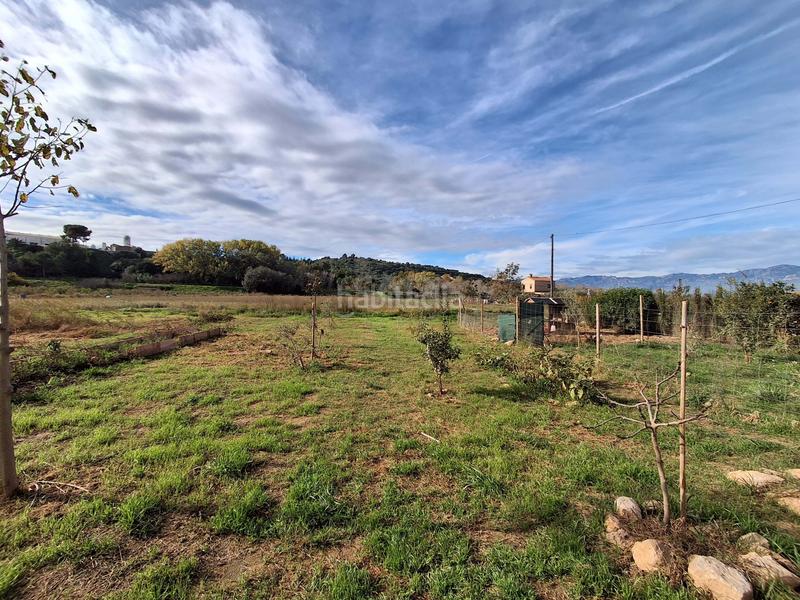 Foto a08f5647-e456-46a4-8584-b8a649b4ff2b. House in carroba poligono 1 parcela 8 in Grau - Quintanes Amposta