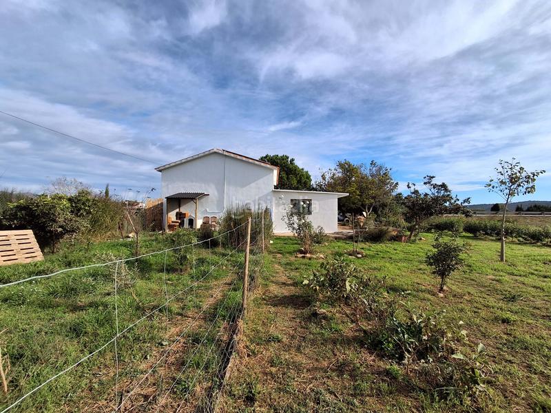 Foto 03011a25-5b69-4d4b-8d52-ce5e5ab04b7f. Maison dans carroba poligono 1 parcela 8 dans Grau - Quintanes Amposta