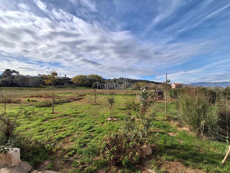 Foto 6dd46c11-b941-4c02-9b25-858cb7e77c32. Maison dans carroba poligono 1 parcela 8 dans Grau - Quintanes Amposta