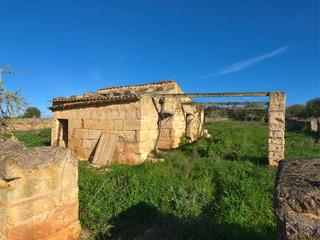 Terreny residencial a Santa Margalida Poble