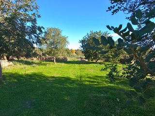 Residential Plot in Carrerassa d'en foc