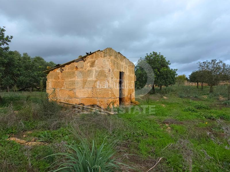 Foto 0a2fc263-10c5-4335-8c78-e33806db91c8. Terreno residencial en Santa Margalida poble Santa Margalida