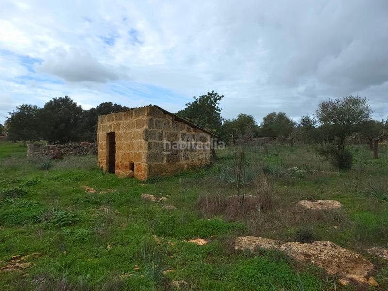 Foto 18e10ed1-e2a3-4b1a-8880-9a31d565866b. Terreno residencial en Santa Margalida poble Santa Margalida