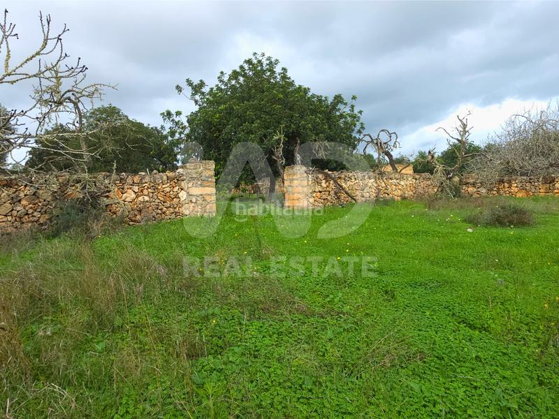 Foto 5841b37e-62ce-4da3-bd42-14386afe4dd5. Terreno residencial en Santa Margalida poble Santa Margalida