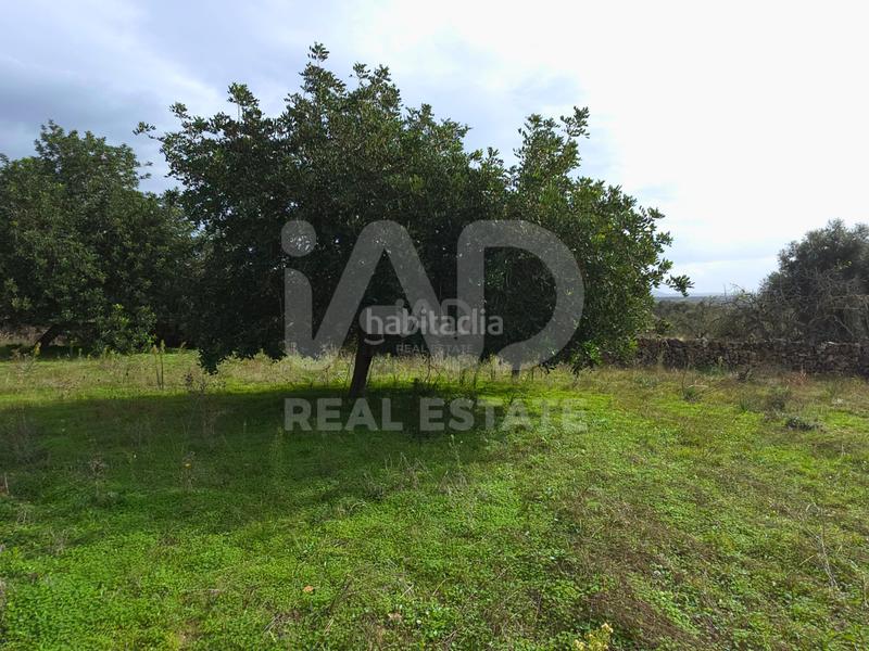 Foto aca09a4b-89ef-4555-ab6b-a73e5a1a8a80. Terreno residencial en Santa Margalida poble Santa Margalida