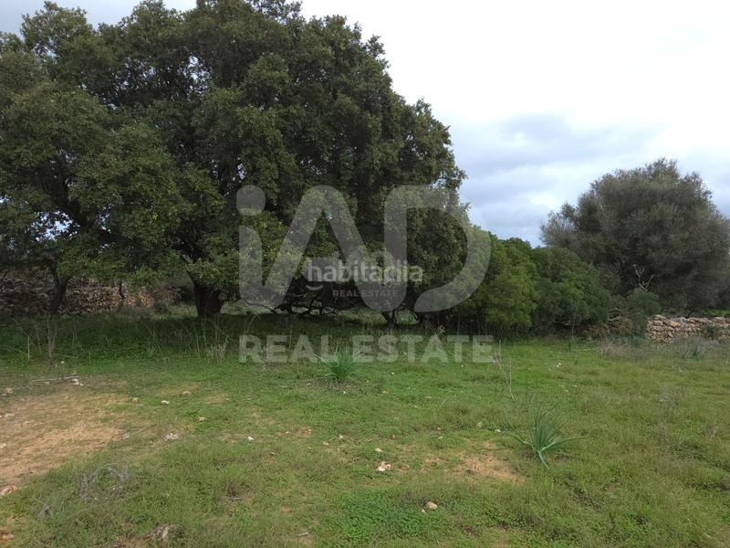 Foto b0fb7f1f-9269-4cdb-96e0-30e2687e3834. Terreno residencial en Santa Margalida poble Santa Margalida