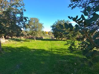 Terreny residencial a Santa Margalida Poble