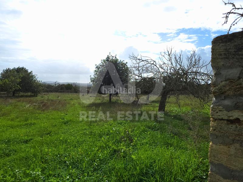 Foto f5b0ed2c-6c45-4ebc-b456-988612e0ca35. Terreno residencial en Santa Margalida poble Santa Margalida