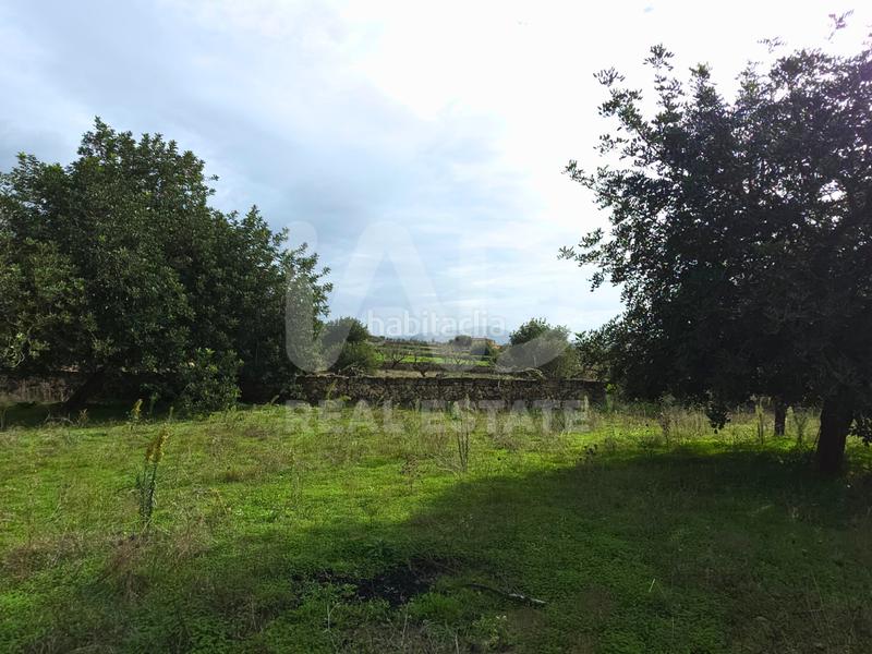 Foto c95fc40f-b191-4f7c-8577-ff861b660293. Terreno residenziale in Santa Margalida poble Santa Margalida