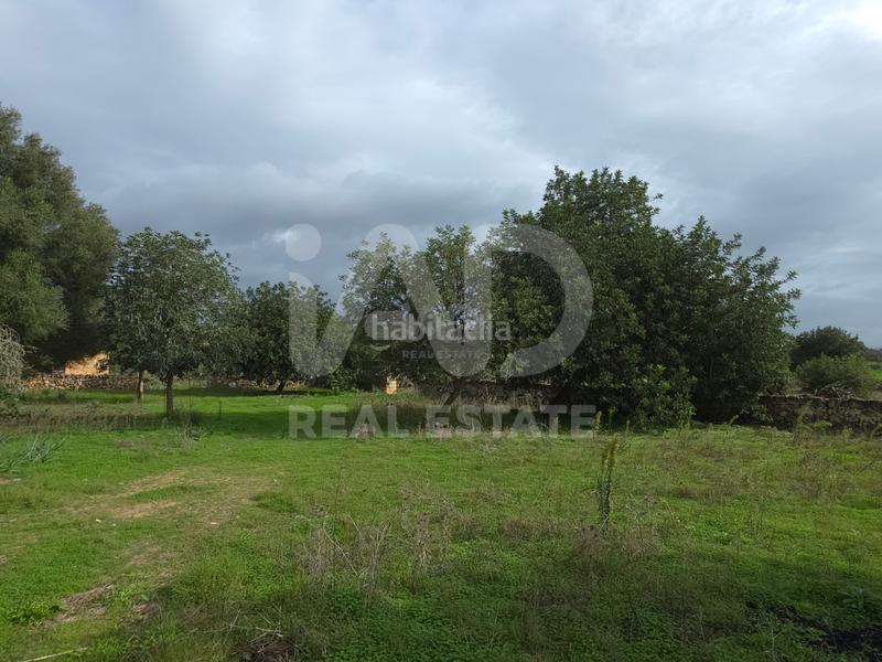 Foto ae62e8d6-dd1b-4352-bd6d-75714b0e41a1. Wohngrundstück in Santa Margalida poble Santa Margalida