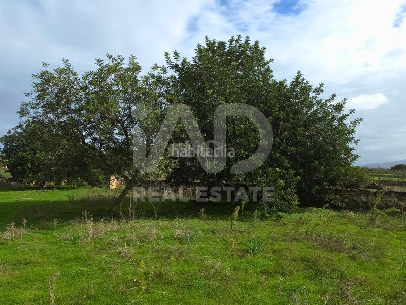 Foto dab49975-b41c-466e-b90e-a427da0d4daf. Wohngrundstück in Santa Margalida poble Santa Margalida