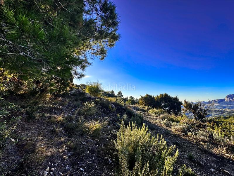 Foto 2e4b8165-52fc-4838-8580-520b18222b47. Finca rústica en Tárbena