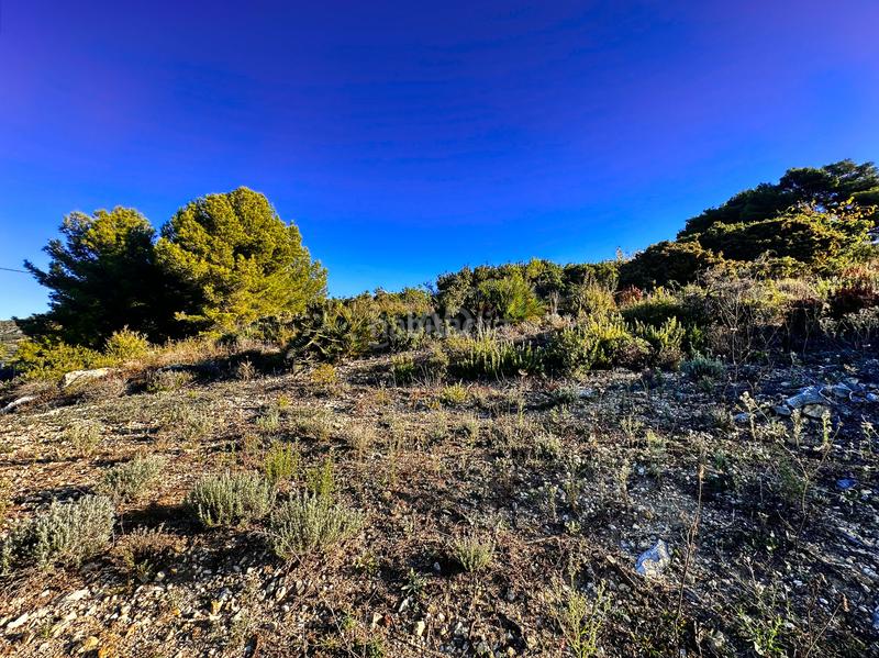 Foto 459306fb-a10f-4a3e-bc45-fa211e4df20e. Finca rústica en Tárbena