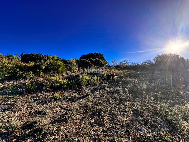 Foto af7285c7-957b-4662-a0e9-bb64c464b539. Finca rústica en Tárbena