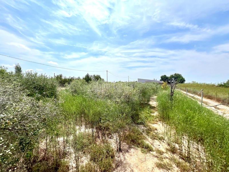 Foto e3f948c2-ebc8-4687-a265-8846f208b4b2. Casa en Sant Jaume d´Enveja