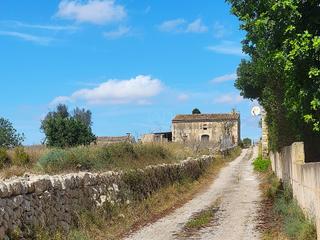 Fondo rustico in Llubí