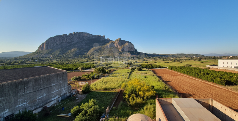 Foto 3808753f-b2c0-4c08-86b1-6b5a552a7953. Casa amb aparcament a Verger (el)