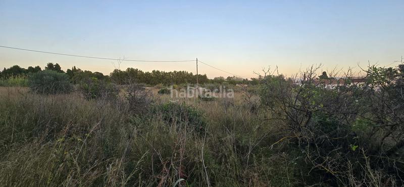 Foto 61e9a5eb-2189-4d7e-9a57-304975aeb0d5. Fondo rustico in L'Almadrava - L'Estanyó Dénia