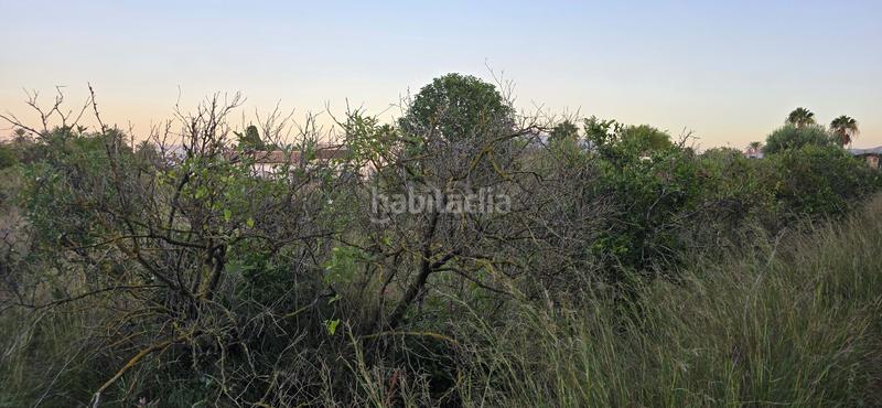 Foto 8a550b09-8657-416c-b4de-961a27472b20. Propriété dans L'Almadrava - L'Estanyó Dénia