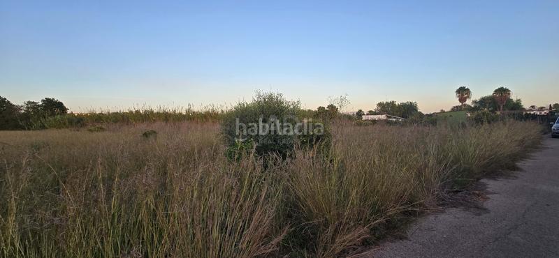Foto 14145bb0-556e-48f1-b1b6-364cf405c761. Rural plot in L'Almadrava - L'Estanyó Dénia