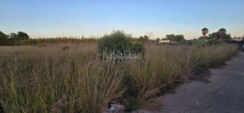 Foto 2afad862-673f-4a8e-a655-0e5d566b1a8c. Rural plot in L'Almadrava - L'Estanyó Dénia