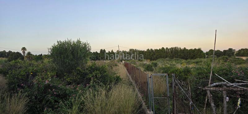 Foto 71a01f7d-2fa7-4ceb-b3d5-8ba45145e270. Rural plot in L'Almadrava - L'Estanyó Dénia
