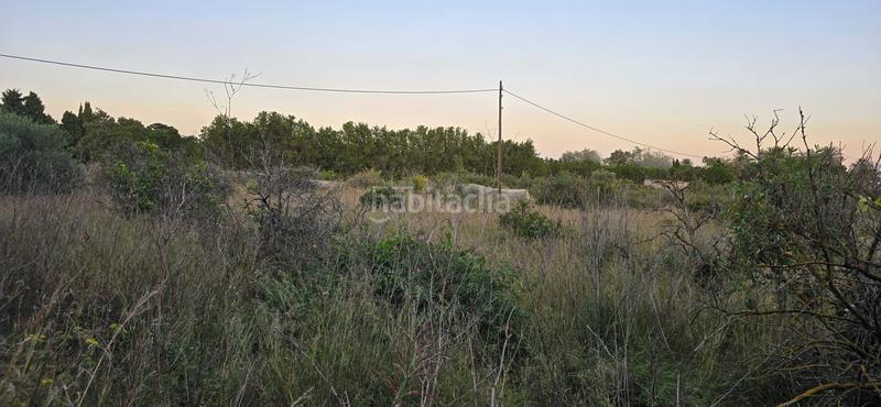 Foto 0c3550e5-fca3-464c-a6ed-f448325605d3. Finca rústica a L'Almadrava - L'Estanyó Dénia