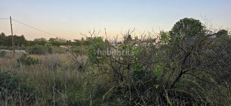 Foto 434485db-039e-4e04-ae08-d45baaf5778b. Finca rústica a L'Almadrava - L'Estanyó Dénia