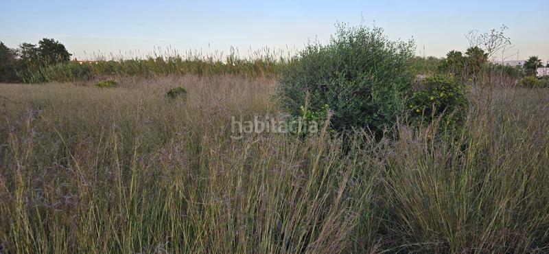 Foto c9efa6ca-1e90-430c-b403-555ee5d5ba37. Finca rústica a L'Almadrava - L'Estanyó Dénia