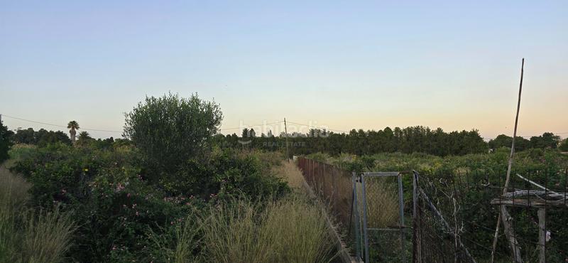 Foto db113c76-5fbd-45b2-8b27-1cc11e00789a. Finca rústica a L'Almadrava - L'Estanyó Dénia