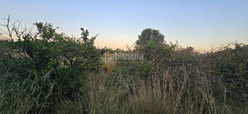 Foto 90f1bed3-e522-42b6-8300-15e5fdf7706e. Finca rústica en L'Almadrava - L'Estanyó Dénia