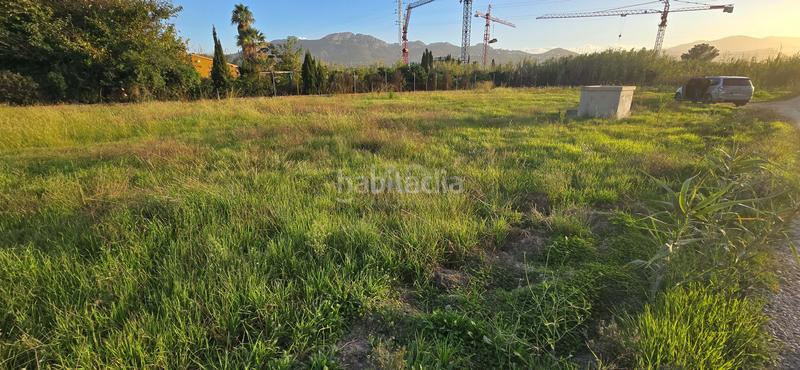 Foto 862bb145-fd77-4f85-9967-9d09b7c3610e. Fondo rustico in Oliva nova Oliva