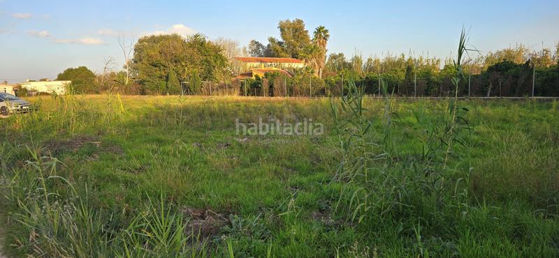 Foto a9468b06-e3dc-4c01-b267-50ef840b0998. Fondo rustico in Oliva nova Oliva