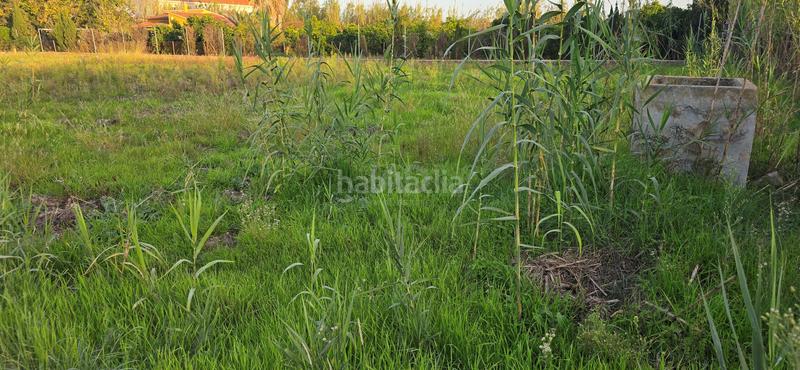 Foto 364f609b-49cc-4467-8f1c-2991cc6d4c12. Propriété dans Oliva nova Oliva